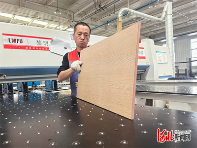 項(xiàng)目建設(shè)一線(xiàn)紀(jì)行|家具柔性智造,這個(gè)基地有“硬功夫”